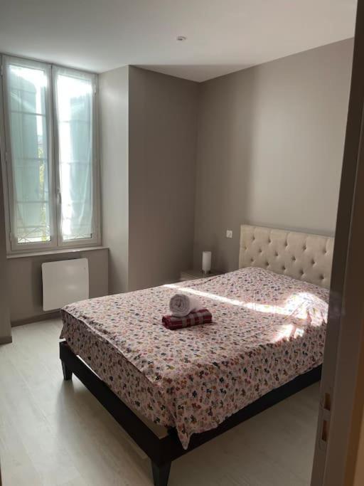 Superbe Appartement Plein Centre Millau Dış mekan fotoğraf