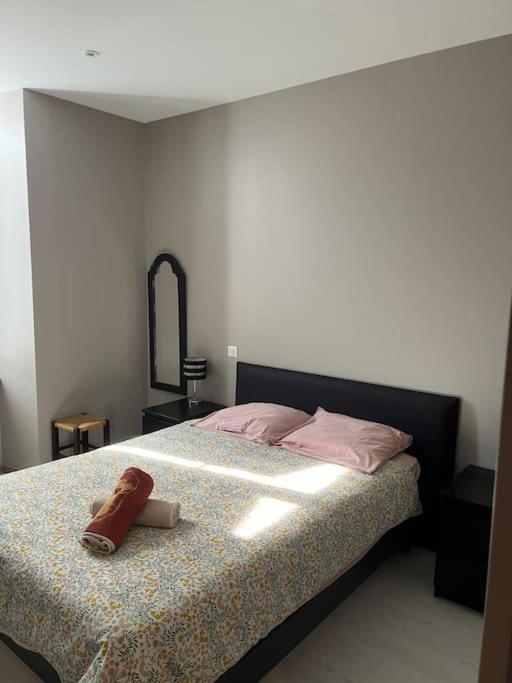 Superbe Appartement Plein Centre Millau Dış mekan fotoğraf