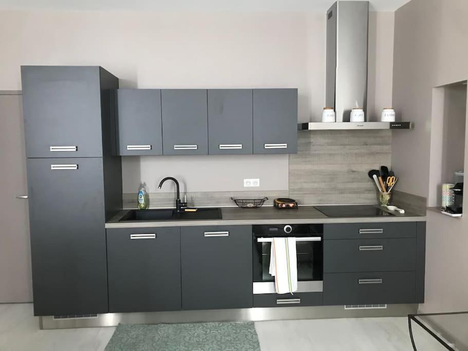 Superbe Appartement Plein Centre Millau Dış mekan fotoğraf