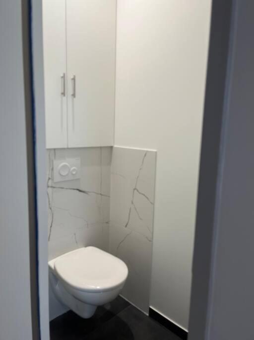 Superbe Appartement Plein Centre Millau Dış mekan fotoğraf