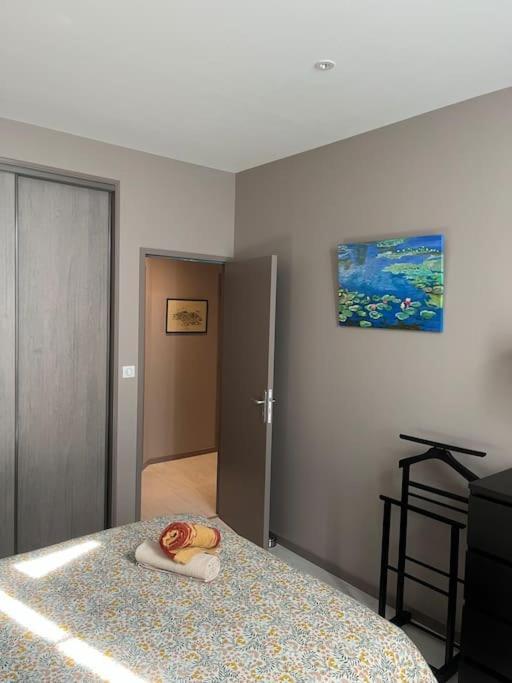 Superbe Appartement Plein Centre Millau Dış mekan fotoğraf